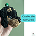 Charlie, the Rottweiler Keychain pattern