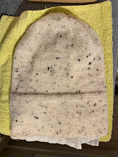 Hoping it will dry over night so I can wear it to my knitting group at the library tomorrow :crossed_fingers: