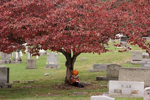 100% Den Deres Heksja (100% That Witch) - Brittany Westmorland