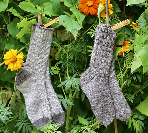 Back To School Socks