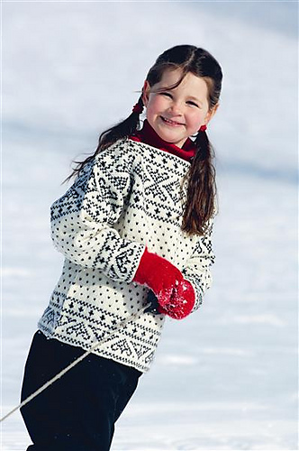 Tema10-30 Valdres Genser - Sandnes Garn