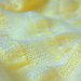Citron photo 4