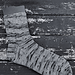 Silver Birch Socks pattern