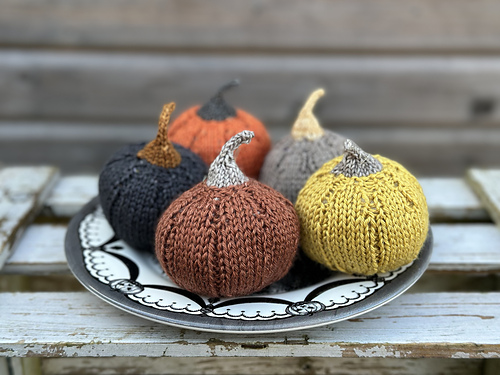Munchkin Pumpkins photo 1