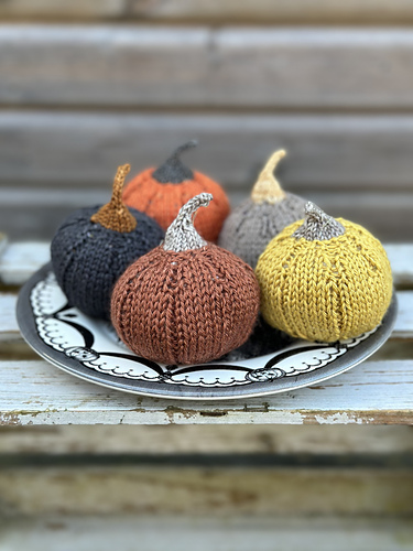 Munchkin Pumpkins photo 3