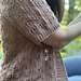 Heritage Cardigan pattern