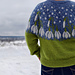 The Snowmelt Garden Pullover pattern
