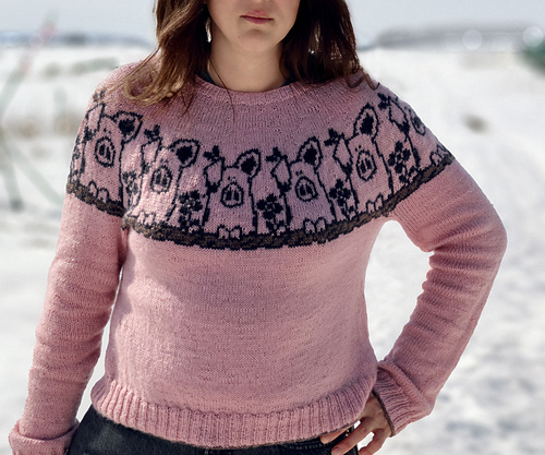 Pretty in Pig Pullover