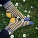 Bee Happy Socks pattern 
