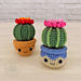 Barrel Cactus Cutie pattern 