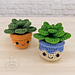 Succulent Cutie pattern 
