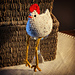 Emotional Support Chicken photo 4