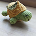Turtle Lemon Shell pattern 