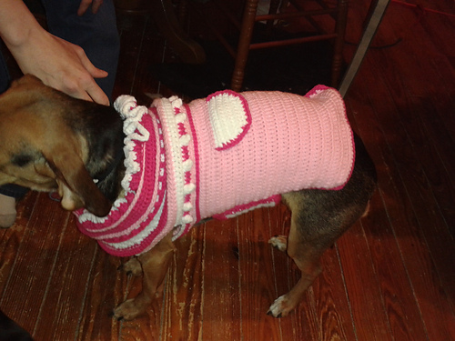 Ravelry: (Coat) Precious in Pink Dog Coat pattern by Lori-Anne Carr