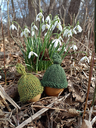 Sprouted Egg