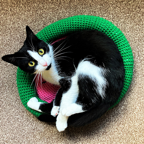Ravelry Watermelon Pet Bed pattern by Willow Crochet