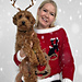Reindeer Christmas Sweater photo 4