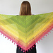 Lovely Luisa Shawl photo 4