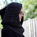 Jaclyn Hood Cowl pattern