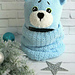 Teddy hat pattern 