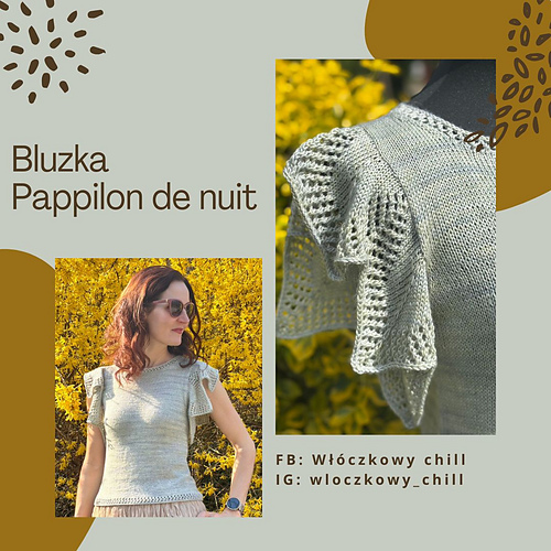 Papillon de nuit