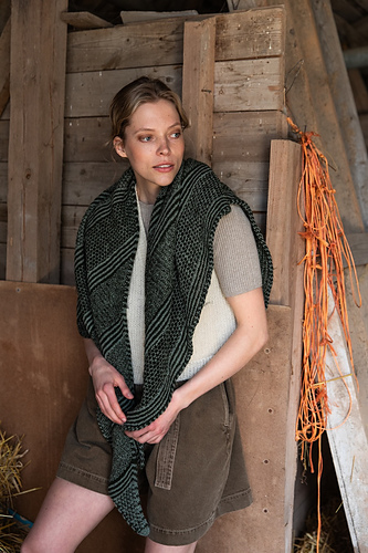 Havina - Laine Publishing