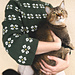 Ramune Sweater pattern 