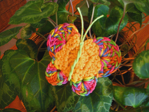 Sweet Butterfly photo 3