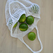 Fresh Market Tote pattern 