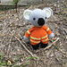 Kooper the RFS Koala pattern 