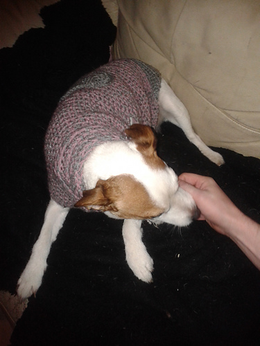 Dog sweater / Hunde-Pulli photo 9