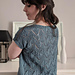 Xyris photo 4