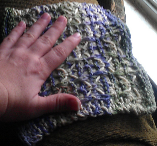 Windows & Doors Dishcloth photo 2