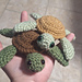 Sea Turtle Plushie pattern 