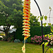 Sunflower Wind Spinner pattern