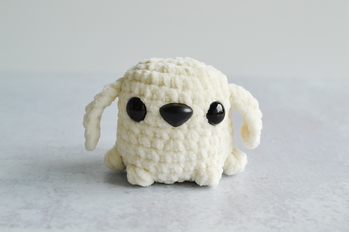 Pocket Pup photo 5