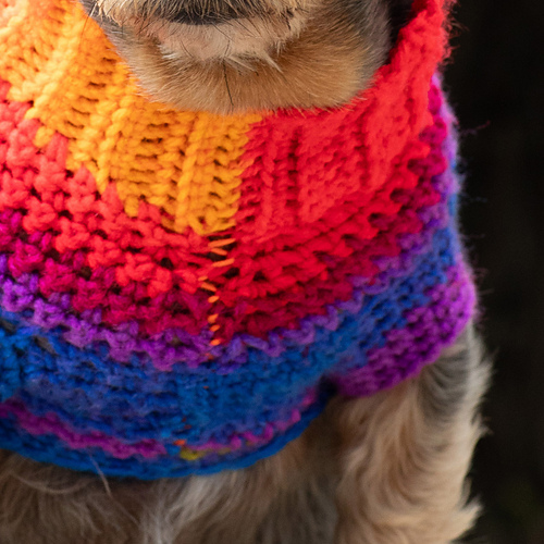 Pup's Favorite Sweater photo 4