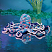Coral the Octopus pattern 