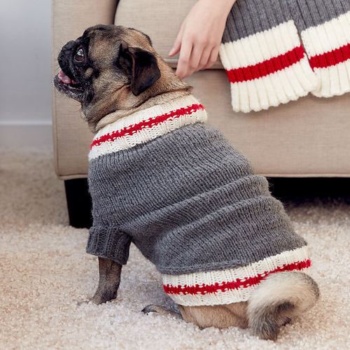 Work Sock Dog Coat photo 1