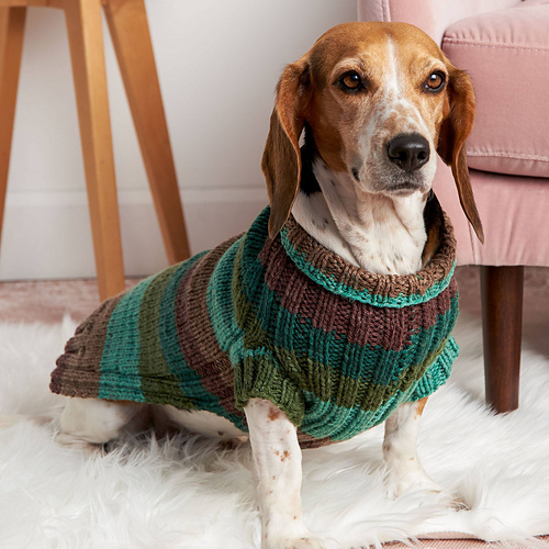 Let's Go Rib Dog Sweater photo 2