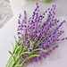 Romantic Lavender pattern