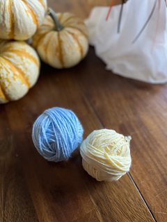 Egyptian Animals, October 2025