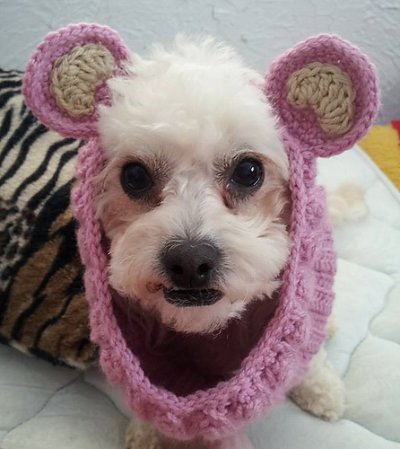 Pig Ears Neck Warmer photo 2