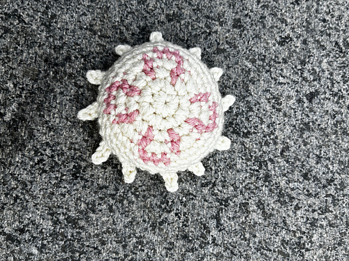 Top view of white and pink moon jellyfish