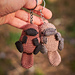 Platypus Keychain pattern