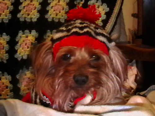 Maximo the great's STAY ON! hat photo 1