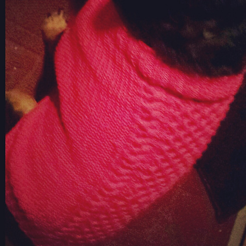 Ravelry aeverson's Daisy's dog sweater