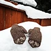 Muskox Mittens pattern 