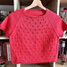 Wildflower Tee pattern