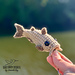 Cody the Catfish Keychain pattern